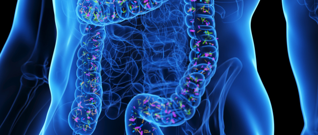 Il Microbiota. I benefici di B-Up nel suo equilibrio